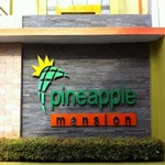 Pineapple Mansion