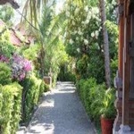 Paradise-Palm-Beach-Bungalows