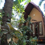 Banana-Leaf-Bungalow