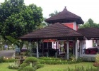 Tukik dan Sampah di Pantai Kuta Bali