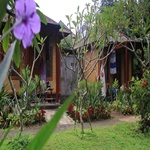 Timbis Homestay Bali